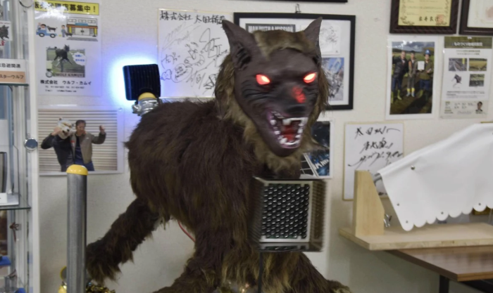 日本でクマ被害が急増、ロボット「モンスターウルフ」が続々配備されクマを撃退
