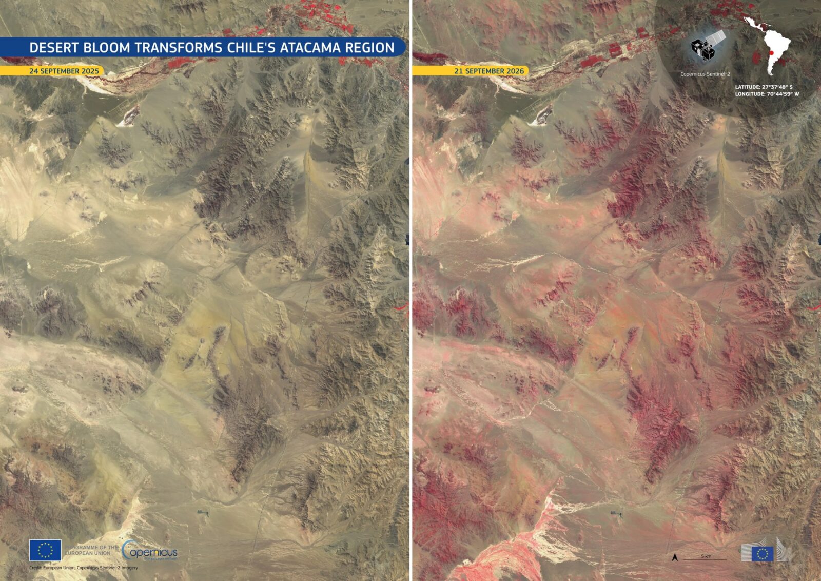 コペルニクスのSentinel-2衛星によるチリ・アタカマ地方の2025年と2026年のフォルスカラー画像の比較。赤は植生を示す