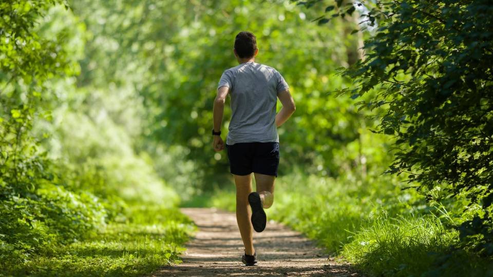 緑あふれる林道をジョギングするランナーの後ろ姿